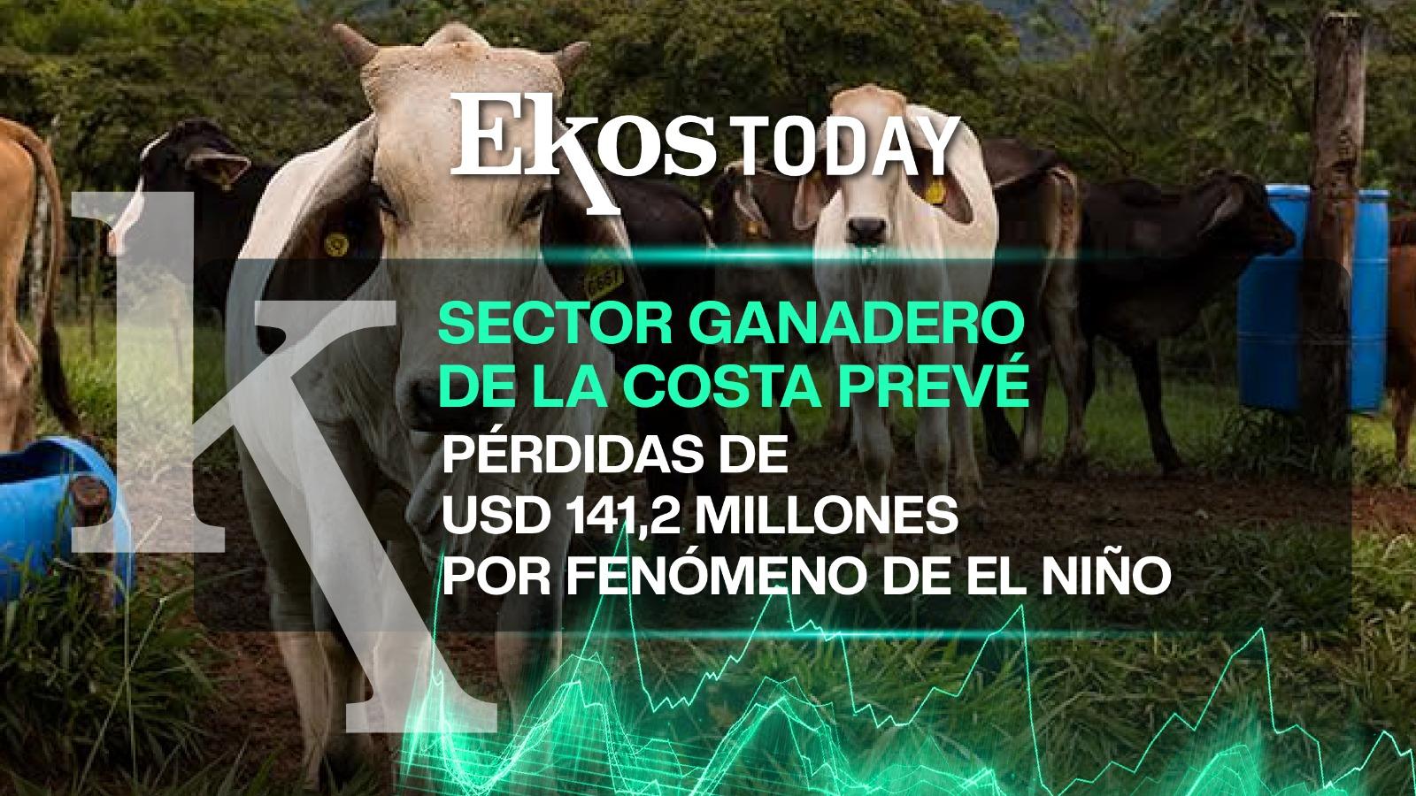Ganadería de la Costa perdería USD 141,2 millones por impacto de fenómeno de El Niño