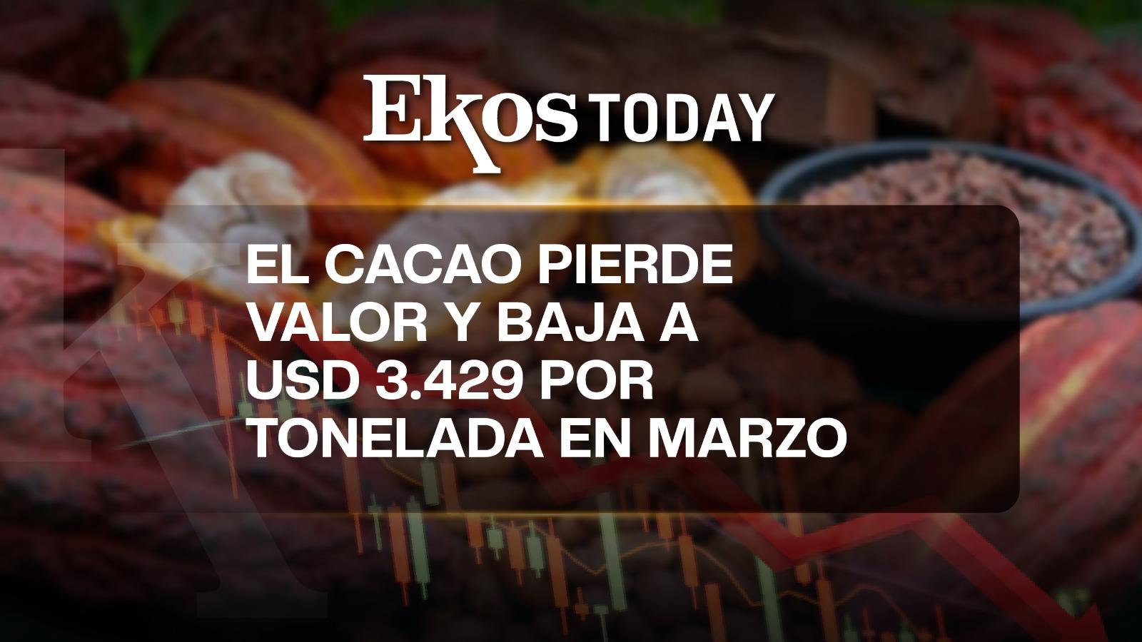 El precio del cacao cae a USD 3.429 por tonelada tras haber superado USD 10.000 por tonelada