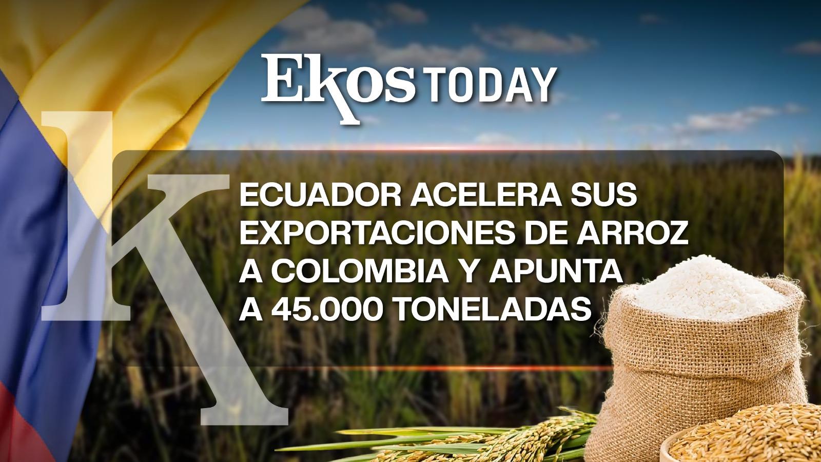 Ecuador prevé superar las 45.000 toneladas de arroz exportadas a Colombia
